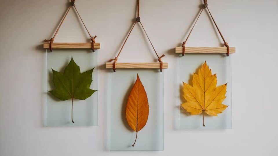 _Pressed Leaf Wall Hangings