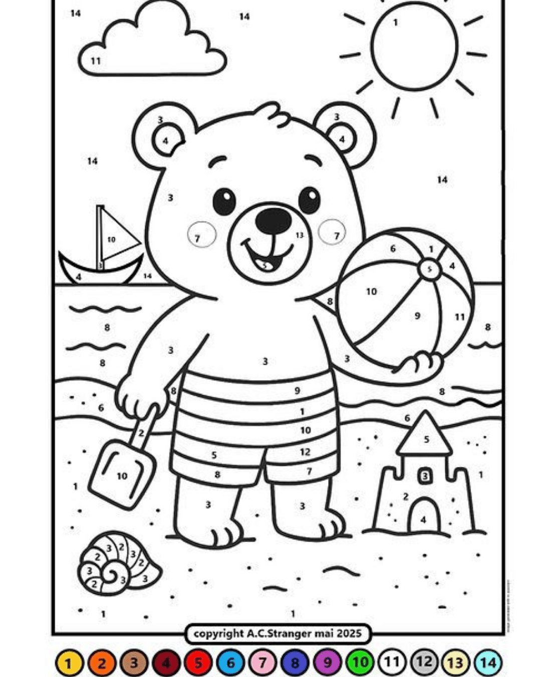 a bear on the beach