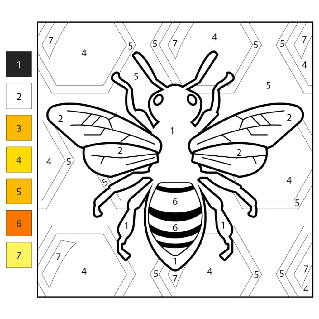 color by number bee