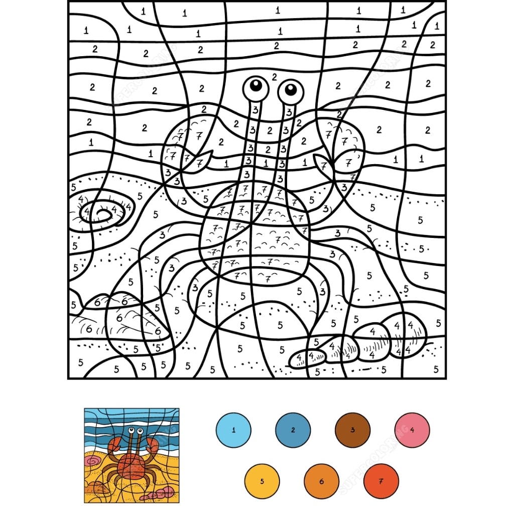 color by number crab