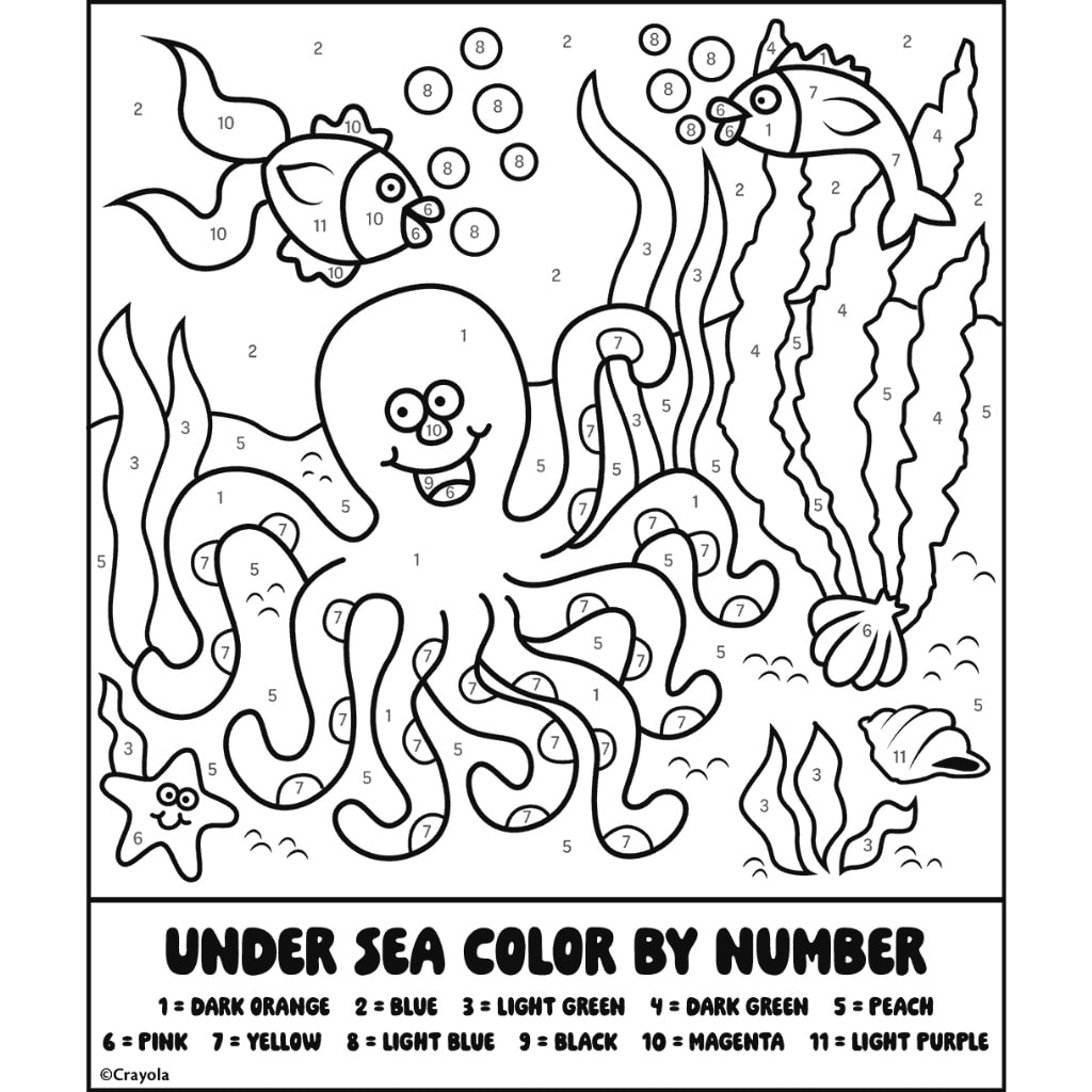 color by number octopus