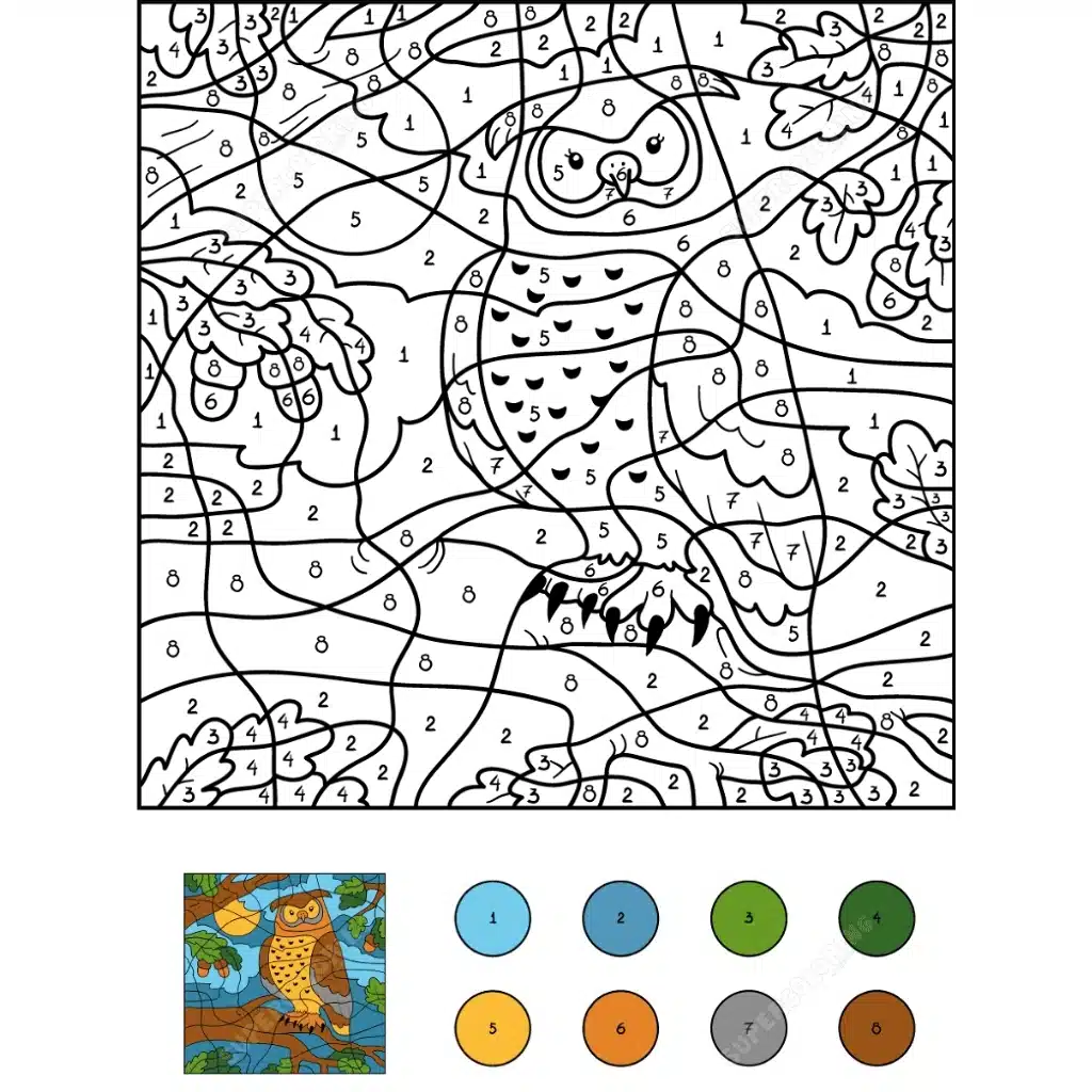 color by number owl
