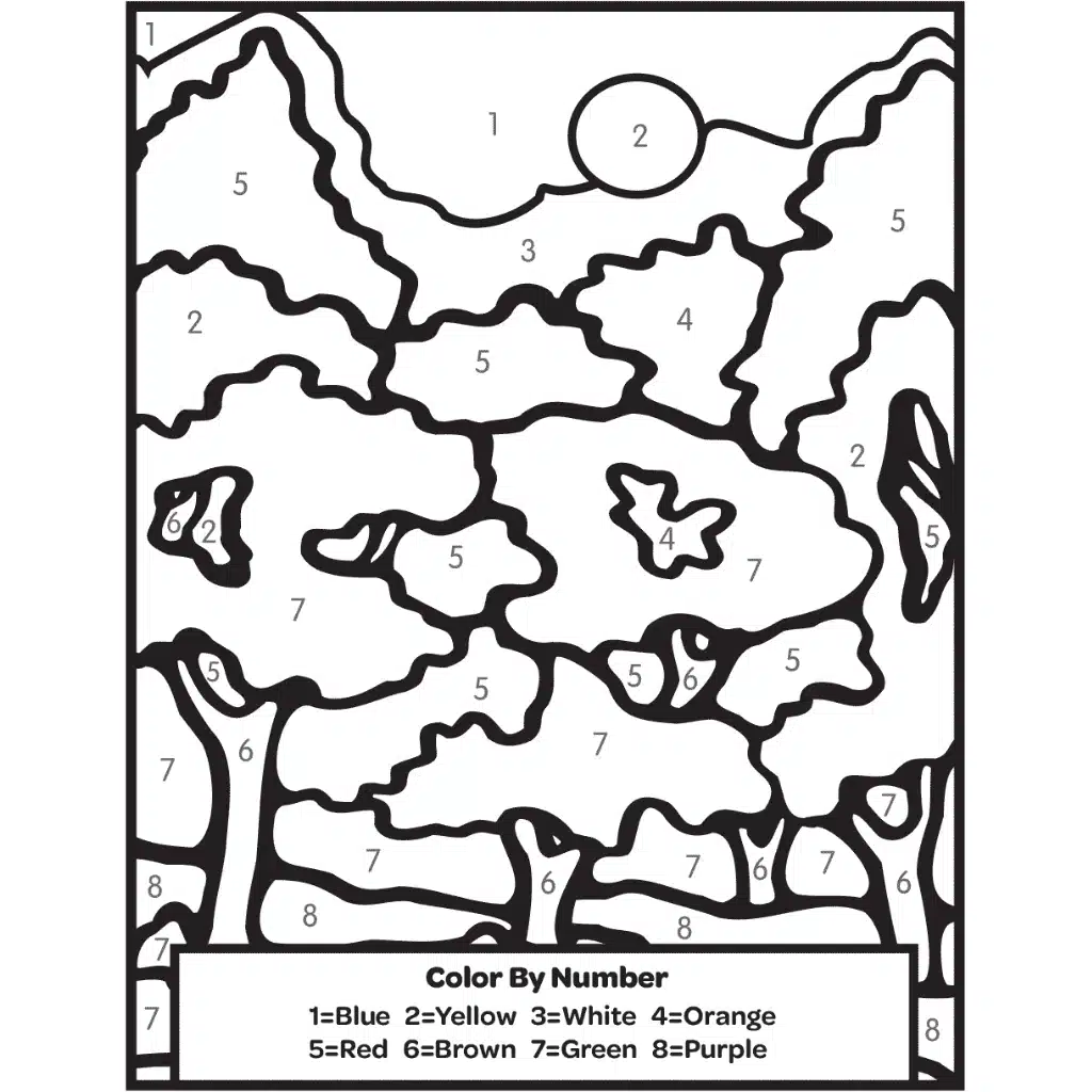 color by number park