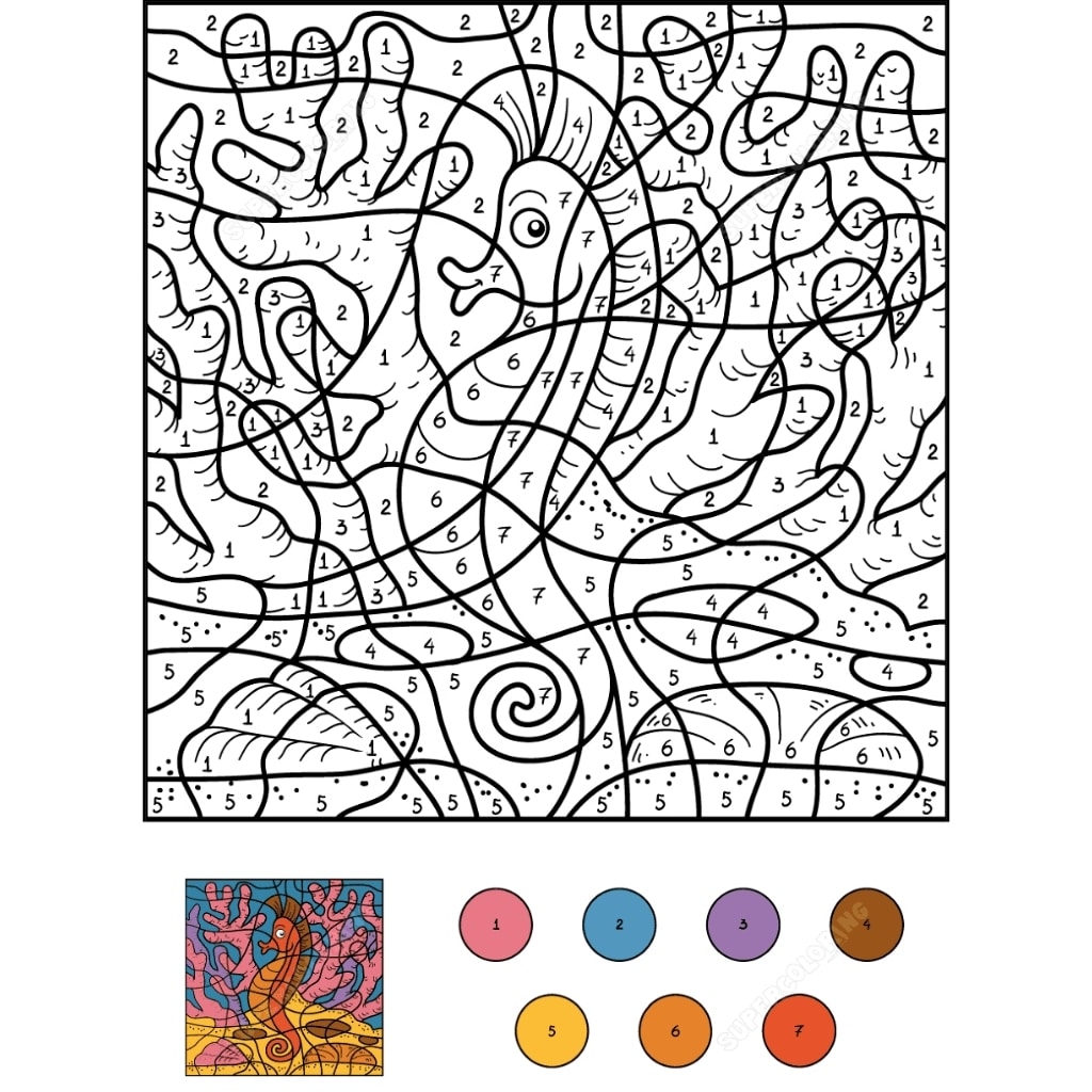 color by number seahorse