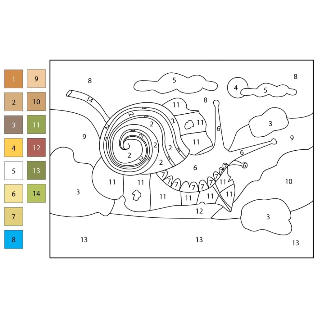 color by number snail