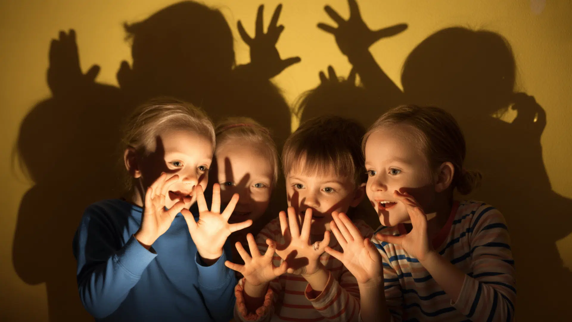shadow puppet play