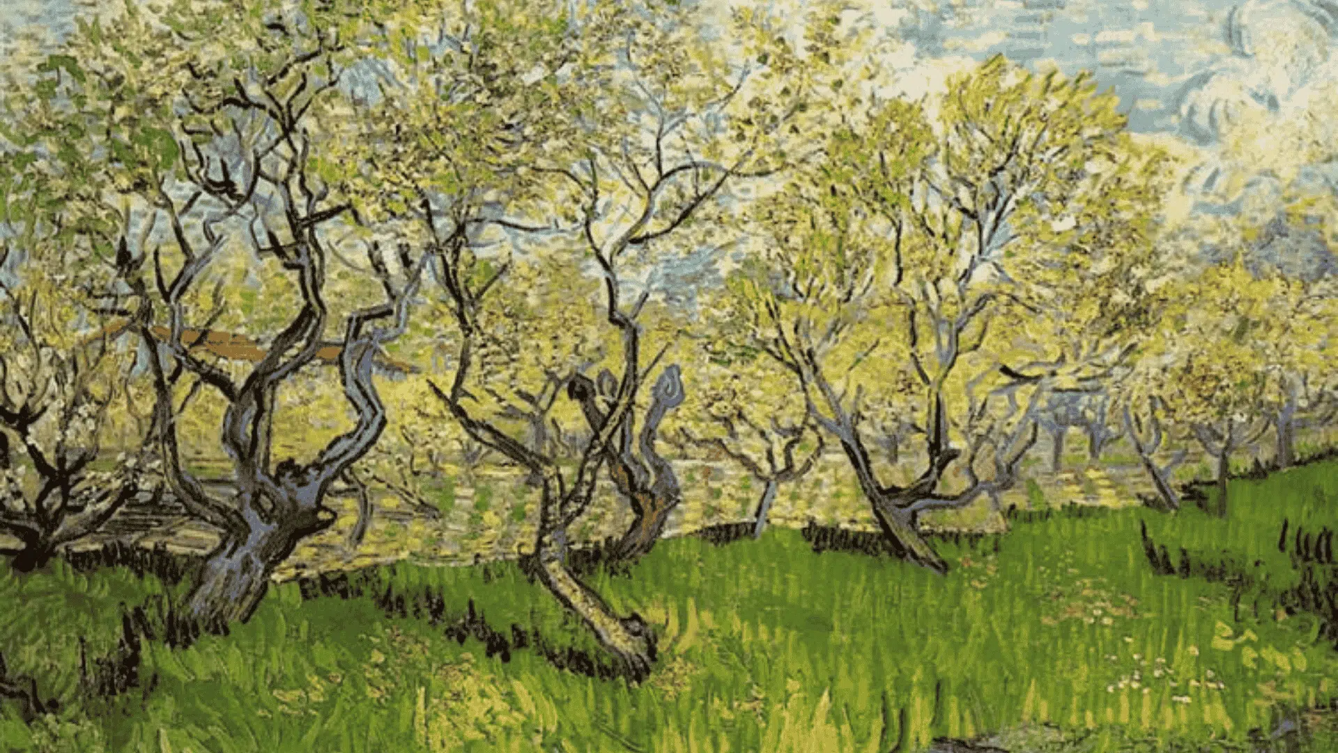 vincent van goghs orchard in blossom