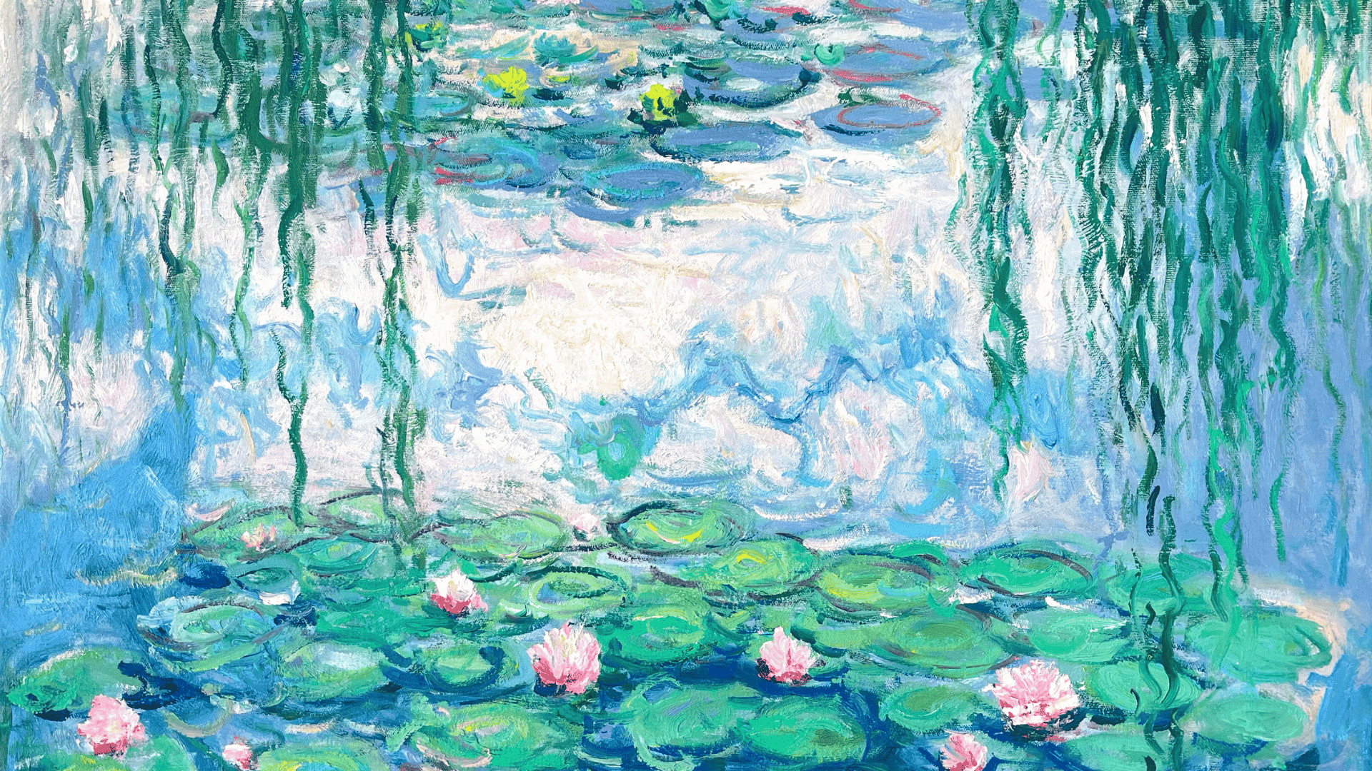 water lilies