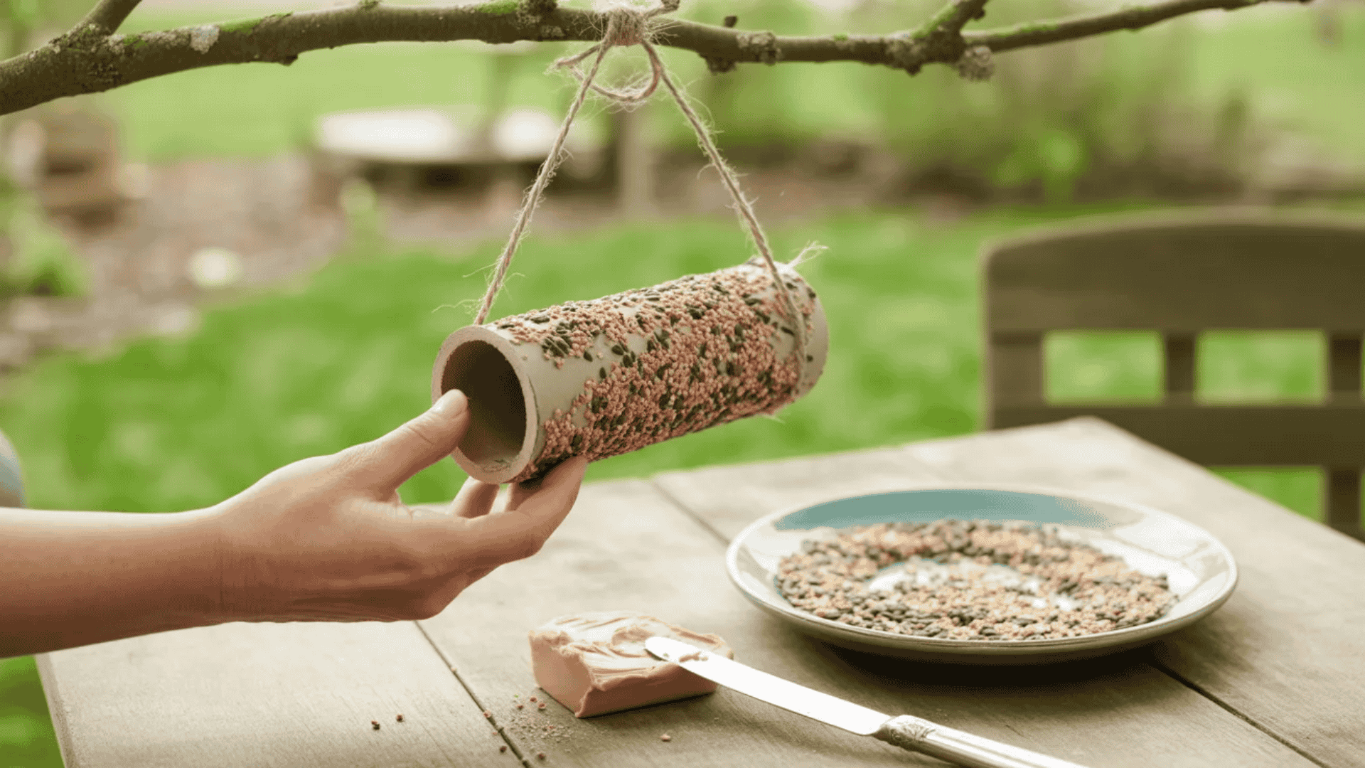 cardboard tube bird feeders