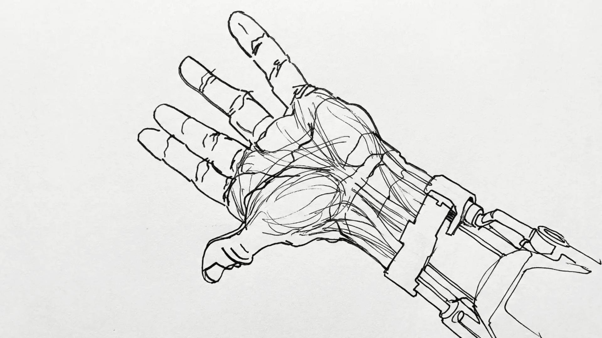 modified contour drawing